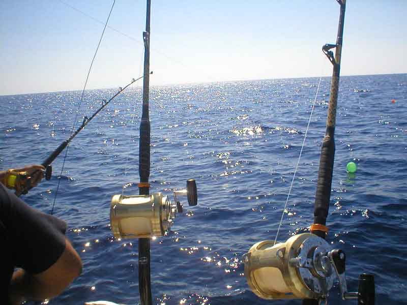 Cañas torneo pesca de altura Tenerife