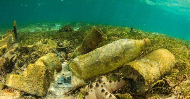 Microplásticos: contaminación que amenaza la pesca canaria
